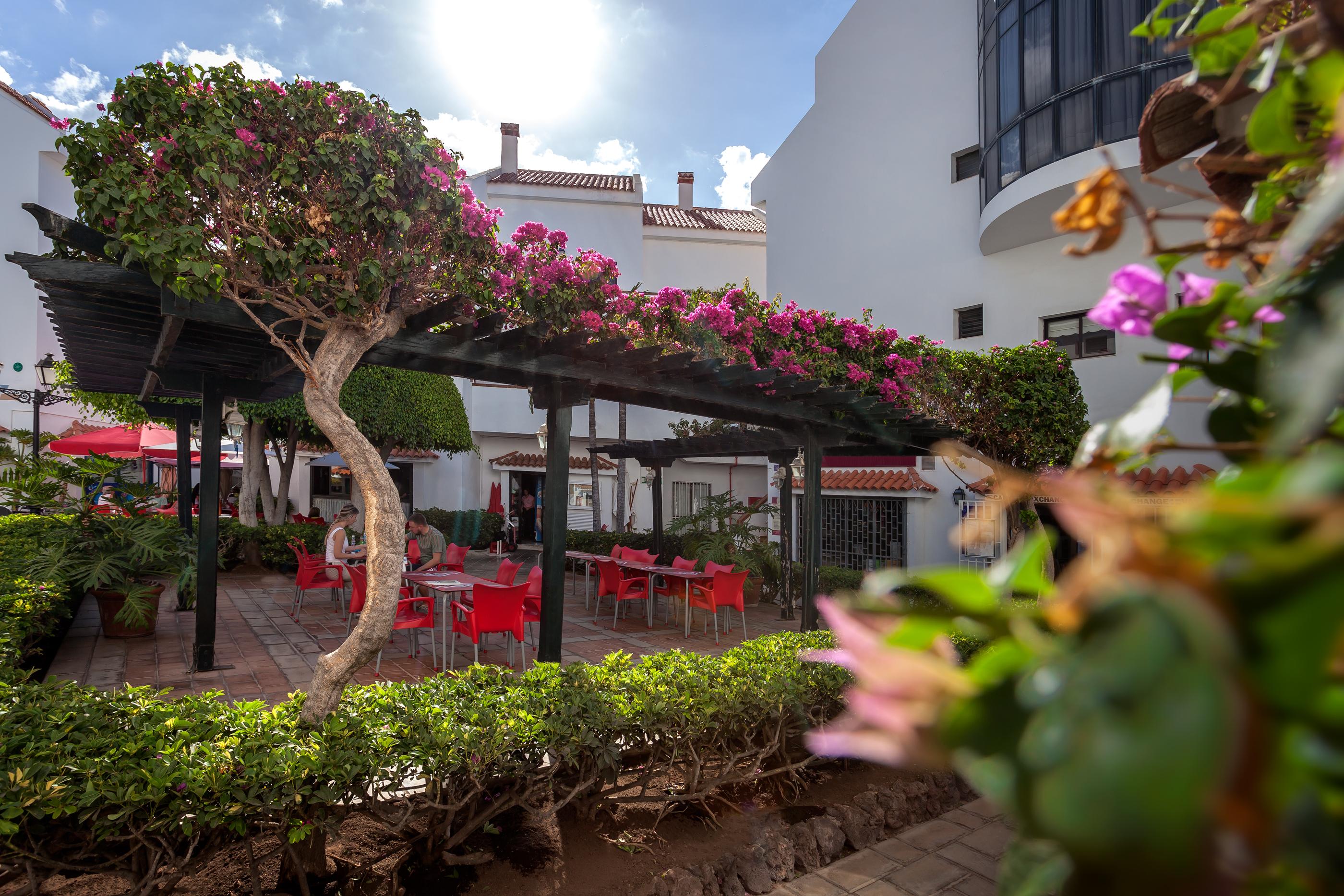 Apartamentos Hg Cristian Sur Los Cristianos  Exterior photo